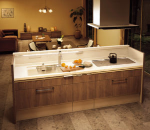 パナソニック：ラクシーナ