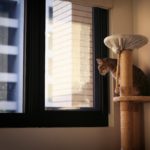 知ってるとプロっぽい!?窓の種類を知っておこう!